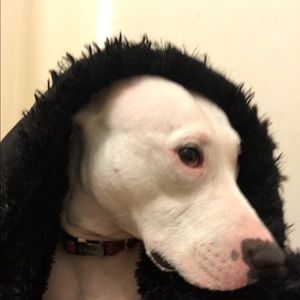 Meet your Posher, Eva